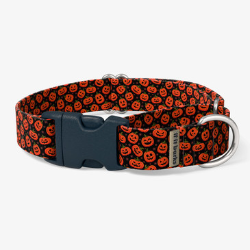front view of collar