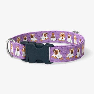 image of front of collar.