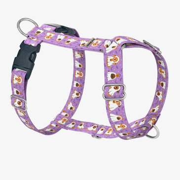 front view of harness