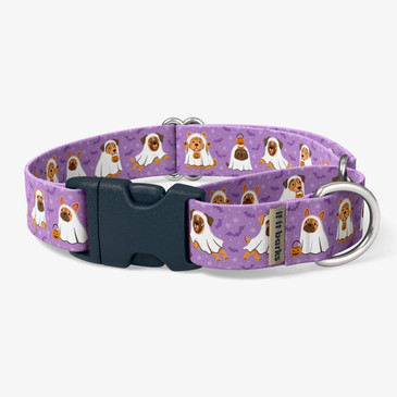 front view of collar