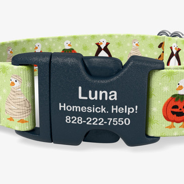 closeup of buckle personalization