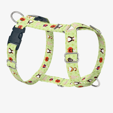 front view of harness