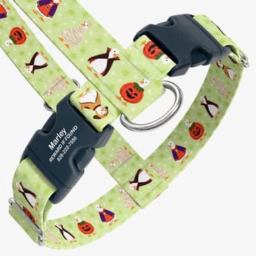 closeup view of harness with personalized buckle