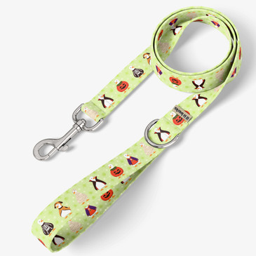 front view of leash