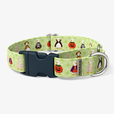 front view of collar