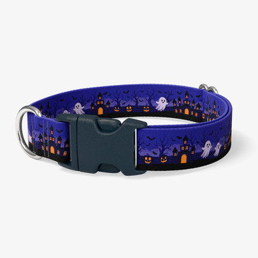 image of front of collar.