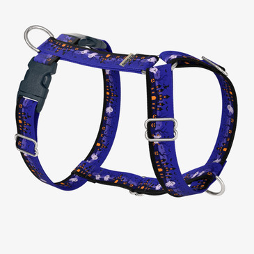 front view of harness