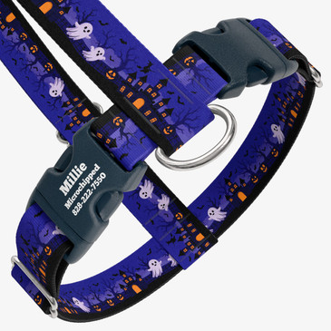 closeup view of harness with personalized buckle