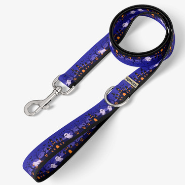 front view of leash