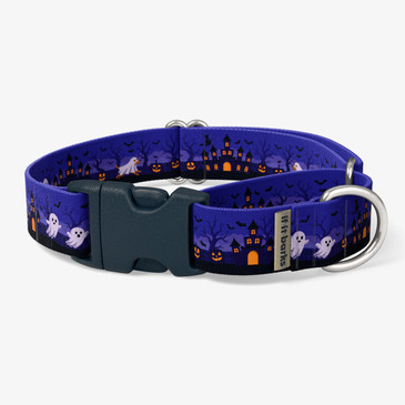 front view of collar