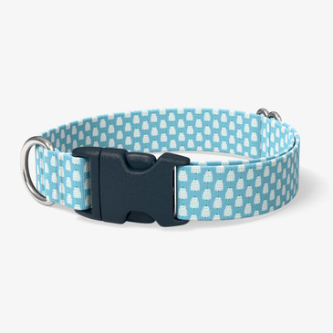 image of front of collar.