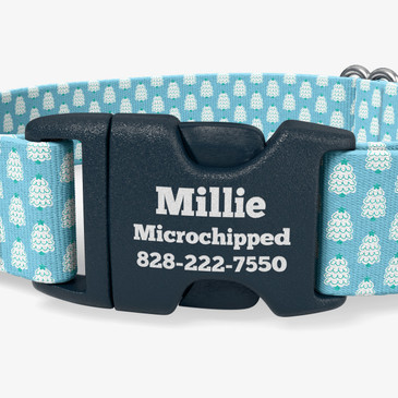closeup of buckle personalization