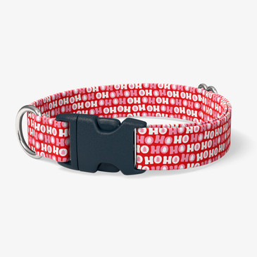 image of front of collar.