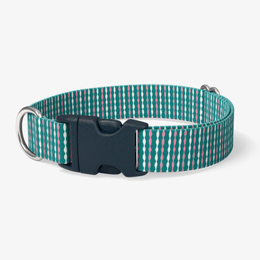 image of front of collar.