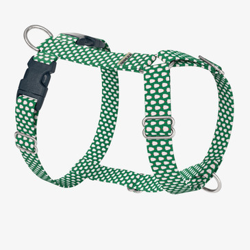 front view of harness