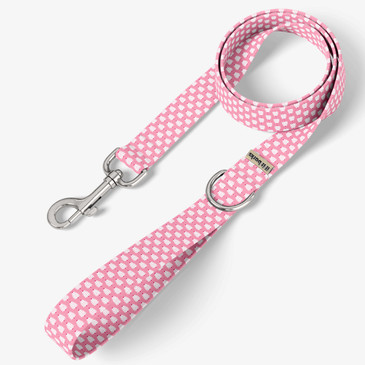 front view of leash