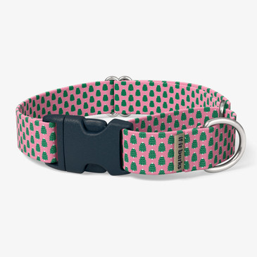 front view of collar