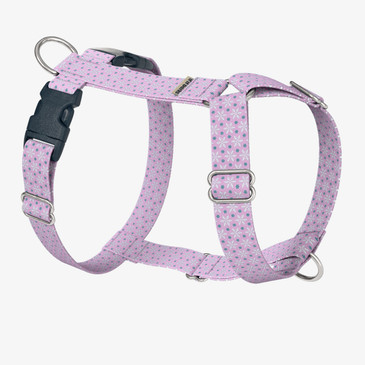 front view of harness