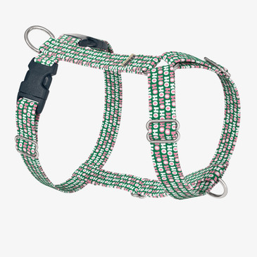 front view of harness