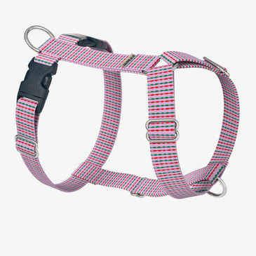 front view of harness