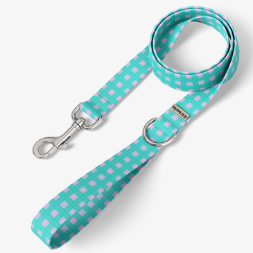 front view of leash