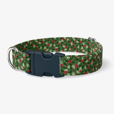 image of front of collar.