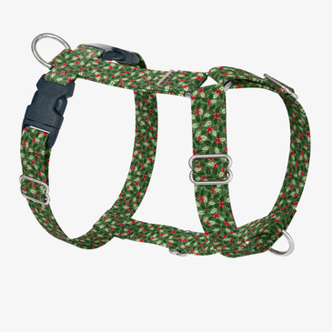 front view of harness