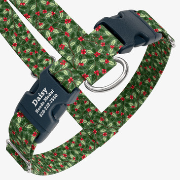 closeup view of harness with personalized buckle