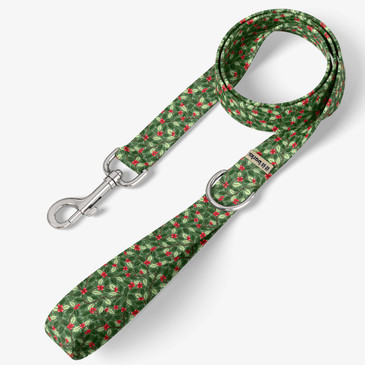 front view of leash