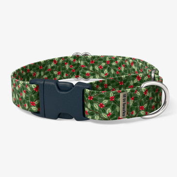 front view of collar