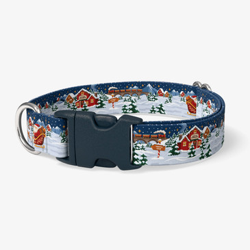 image of front of collar.