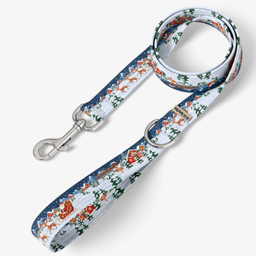 front view of leash