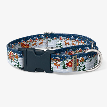 front view of collar