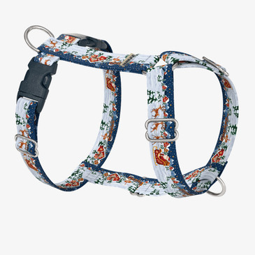 front view of harness