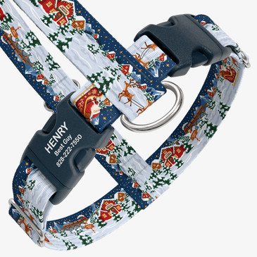 closeup view of harness with personalized buckle