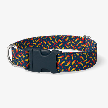 image of front of collar.