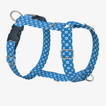 front view of harness