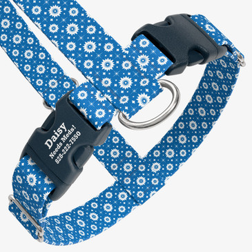 closeup view of harness with personalized buckle