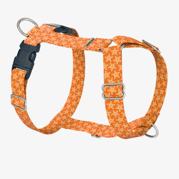 front view of harness
