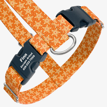 closeup view of harness with personalized buckle