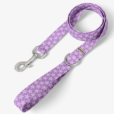 front view of leash