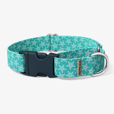 front view of collar