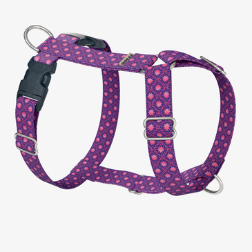 front view of harness