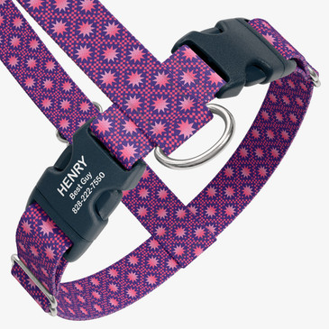 closeup view of harness with personalized buckle