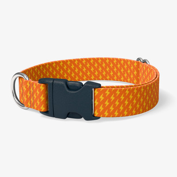 image of front of collar.