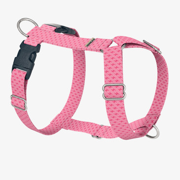 front view of harness