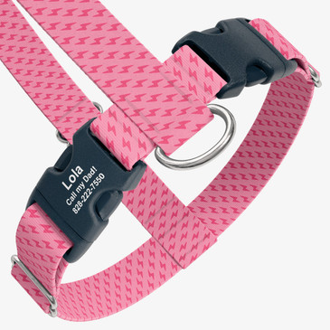 closeup view of harness with personalized buckle