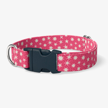 image of front of collar.