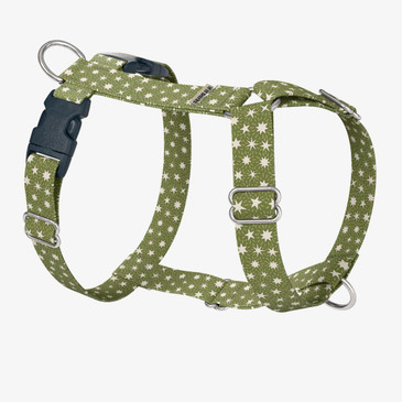 front view of harness