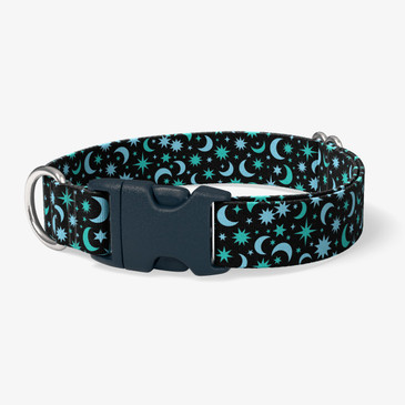 image of front of collar.